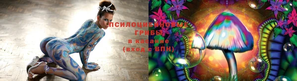 шишки Бронницы