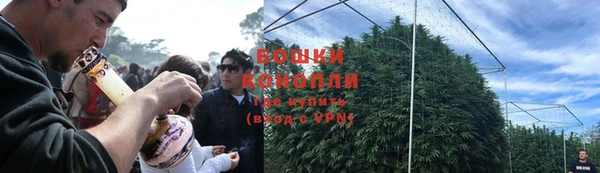 шишки Бронницы