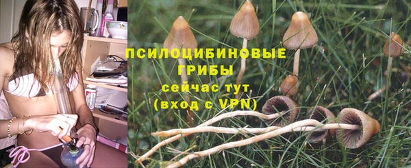 гидра Бугульма