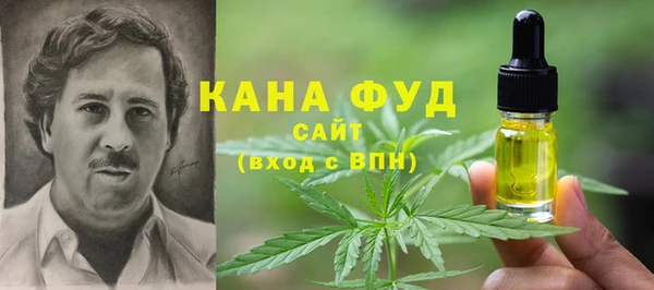 гидра Бугульма