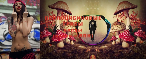 гидра Бугульма