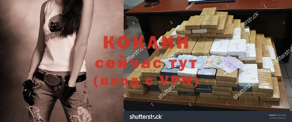 шишки Бронницы