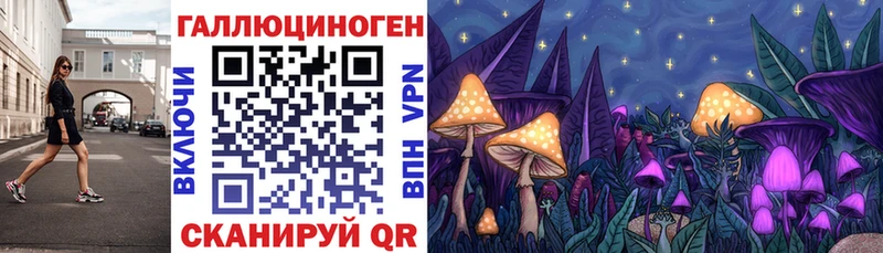 MEGA ссылки  Емва  Псилоцибиновые грибы Psilocybe 